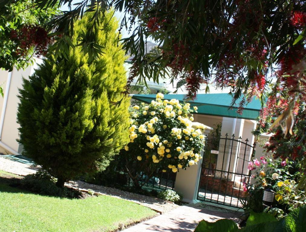 Somerset Lodge Montagu Buitenkant foto